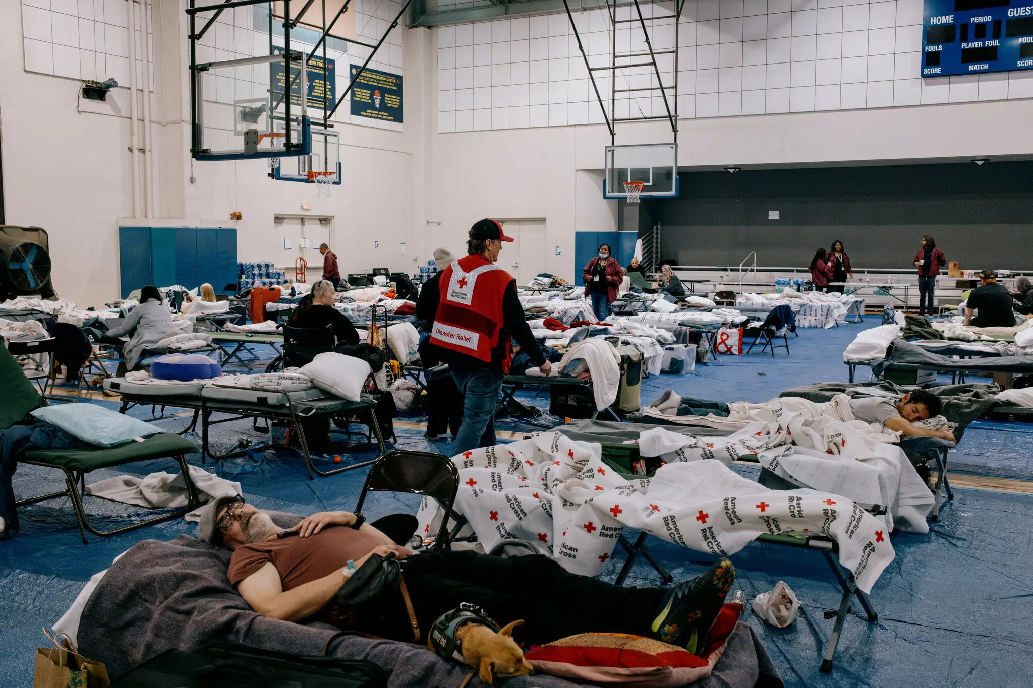 Губернатор Каліфорнії Ньюсом підписав указ для забезпечення доступного житла після руйнівних пожеж